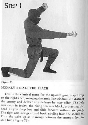 Monkey Steals the Peach 1