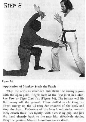 Monkey Steals the Peach 2